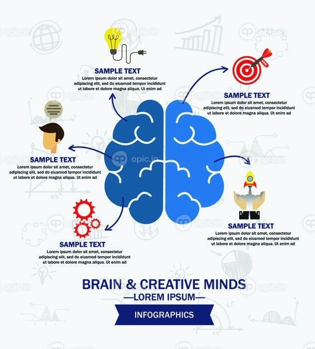 دانلود مفهوم مغز و خلاق ذات، infographics، تصویر برداری