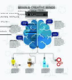 دانلود مفهوم مغز و خلاق ذات، infographics، تصویر برداری