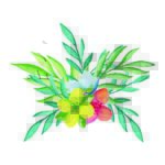 سبد خرید و پرداخت