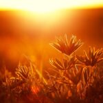 دانلود مجموعه یا قالب کارت ویزیت کارت ویزیت