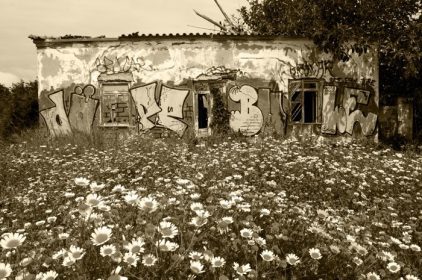 دانلود ALGARVE، PORTUGAL – MAY 3، 2015 خانه خراب شده با گرافیتی پوشیده شده است. خرید و بازسازی خانه های روستایی قدیمی در پ