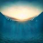 سبد خرید و پرداخت
