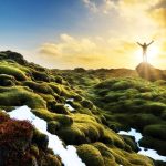 دانلود کارت ویزیت کارت ویزیت آبی شیب دار با زیورآلات طلایی قدیمی برای