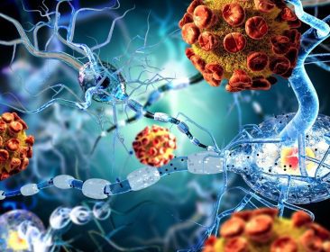 دانلود تصویر 3D از ویروس ها حمله به سلول های عصبی، مفهوم بیماری های نورولوژیک، تومورها و جراحی مغز.