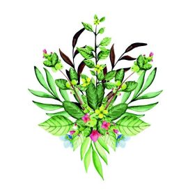 دانلود دسته گل با شاخه های سبز و قهوه ای. آبرنگ تصویر برداری