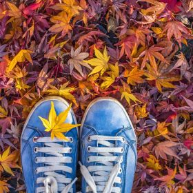 دانلود فصل پاییز در کفش های سبک هپستر