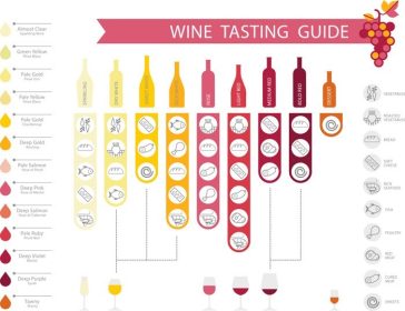 دانلود Infographics شراب با جفت غذا، نوع بطری و شیشه، انواع شراب و رنگ