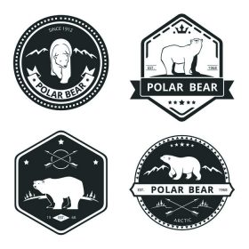 دانلود آرم بردار خرس، طلسم، نمادها و برچسب مجموعه. تصویر حیوانات وحشی قطبی و Arctic Wild