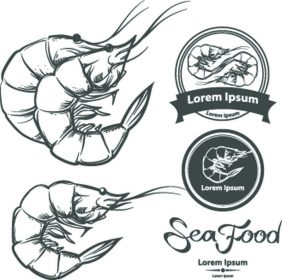 دانلود میگو، غذای دریایی، تصویر، برای منو، جدا شده بر روی زمینه سفید، عناصر طراحی