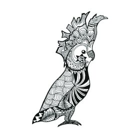 دانلود طوطی کوکتو طلایی Zentangle. پرنده ها. سیاه سفید دست کشیده ابله. منشور ملی الگو الگو