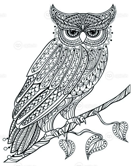 دانلود سحر و جادو Zentangle سحر نشسته در شاخه، برای بزرگسالان ضد استرس صفحه رنگ آمیزی با جزئیات بالا جدا شده بر روی سفید است