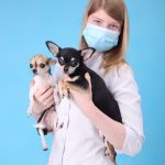 سبد خرید و پرداخت