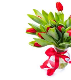 دانلود گل لاله براق دسته گل در یک گلدان سفید. روز تولد مادر یا روز عید پاک، توله سگ با عدسی قرمز رنگی تزئین شده است