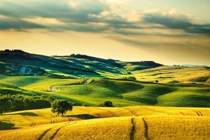 دانلود بهار توسکانی، تپه های تپه ای در غروب خورشید. چشم انداز روستایی ولتررا. حوزه های سبز و درختان ایتالیا، اروپا