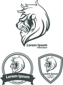 دانلود شیر برای لوگو، نماد فوتبال آمریکایی، تصویر ساده، نماد تیم ورزشی، عناصر طراحی و برچسب ها، ایده ی امنیتی