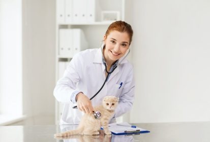 دانلود پزشکی، حیوان خانگی، حیوانات، مراقبت های بهداشتی و مفهوم مردم – دکتر دامپزشک خوشحال با استتوسکوپ چک کردن بچه گربه اسکاتلندی در درمانگاه دامپزشک