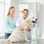 دانلود وکتور پس زمینه آبی انتزاعی