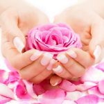 سبد خرید و پرداخت