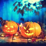 دانلود عکس گوزن در مزرعه کلزا