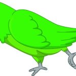 سبد خرید و پرداخت
