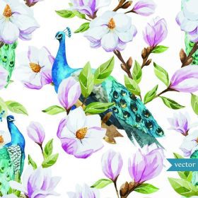 دانلود آبرنگ ، ماگنوليا ، گل ، طاووس ، الگوي ، تصوير زمينه ،