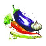 سبد خرید و پرداخت