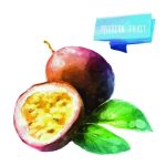 سبد خرید و پرداخت