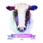 سبد خرید و پرداخت