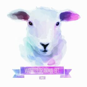 دانلود مجموعه وکتور حيوانات. گوسفند نقاشي با آبرنگ رنگي دست با گوسفند که روي رنگ سفيد background_001 جدا شده است