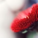 سبد خرید و پرداخت