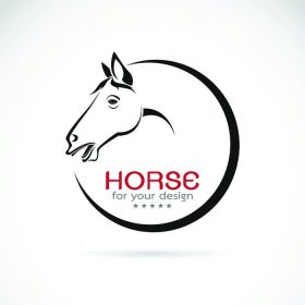 دانلود تصاویر وکتور طراحی اسب در زمینه سفید