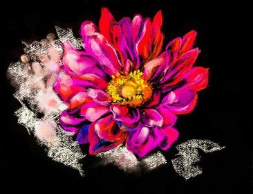 دانلود نقاشی پاستیل اصلی روی مقوا. نقاشی مدرن از گل زیبا روی زمینه سیاه