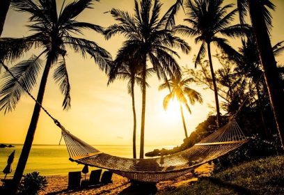 دانلود زمان استراحت با شبح زنبوری و درخت نارگیل در ساحل هنگام غروب آفتاب در جزیره سامویی Thailand_001
