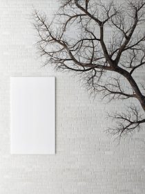 دانلود پوستر ، دیوار بیرونی ، کاغذ دیواری سه بعدی طرح درخت