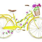 سبد خرید و پرداخت