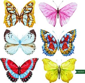 دانلود مجموعه ای از پروانه های زیبا با آبرنگ ، تصویر برداری
