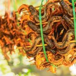 سبد خرید و پرداخت