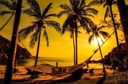 دانلود زمان استراحت با شبح زنبوری و درخت نارگیل در ساحل هنگام غروب آفتاب در جزیره سامویی Thailand_003