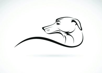 دانلود تصویر برداری از یک سگ در زمینه سفید
