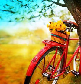 دانلود دوچرخه پرنعمت با گلها در زمینه چشم انداز تابستانی (عکس با تناژ)