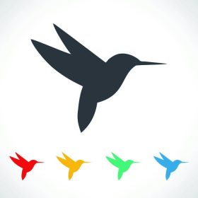 دانلود نماد Hummingbird