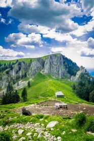 دانلود چشم انداز کوه با گوسفند در کوههای کارپات ، رومانی. گله بز و گوسفند در مزرعه ای در