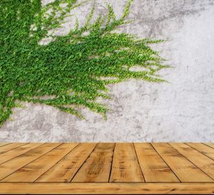 دانلود دیوارهای سبز و کف چوبی برگهای سبز را برای پس زمینه