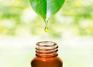 دانلود جوهر گیاهی داروی سالم جایگزین. مراقبت از پوست روغن ضروری یا آب در حال ریزش از برگ تازه به بطری.