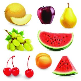 دانلود میوه های تابستانی ، مجموعه ای از وکتور icon