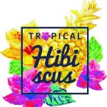 سبد خرید و پرداخت