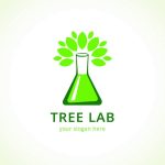 سبد خرید و پرداخت