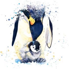 دانلود گرافیک T-shirt Penguin. تصویر پنگوئن با پس زمینه بافت آبرنگ چلپ چلوپ. تصویرگر غیرمعمول