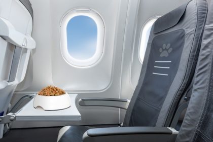 دانلود کاسه حیوان خانگی پر از غذا در داخل یک صندلی پنجره هواپیما که در آن حیوانات اهلی روی صفحه استقبال می کنند