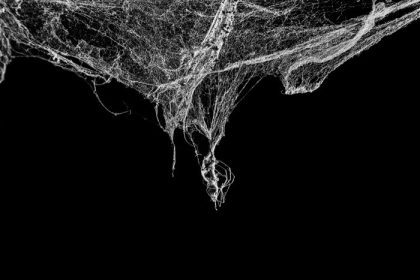 دانلود مثلث وحشتناک cobweb یا وب عنکبوت جدا شده در black background